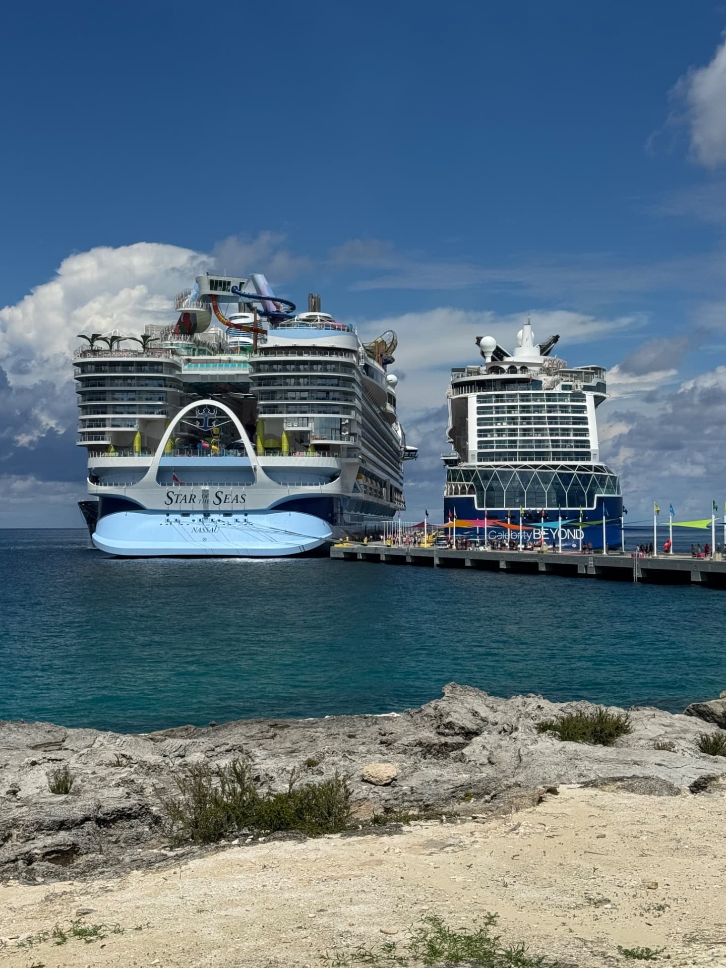 Is Royal Caribbean’s Icon Class Too Big? Choosing the Best Ship for Your Family