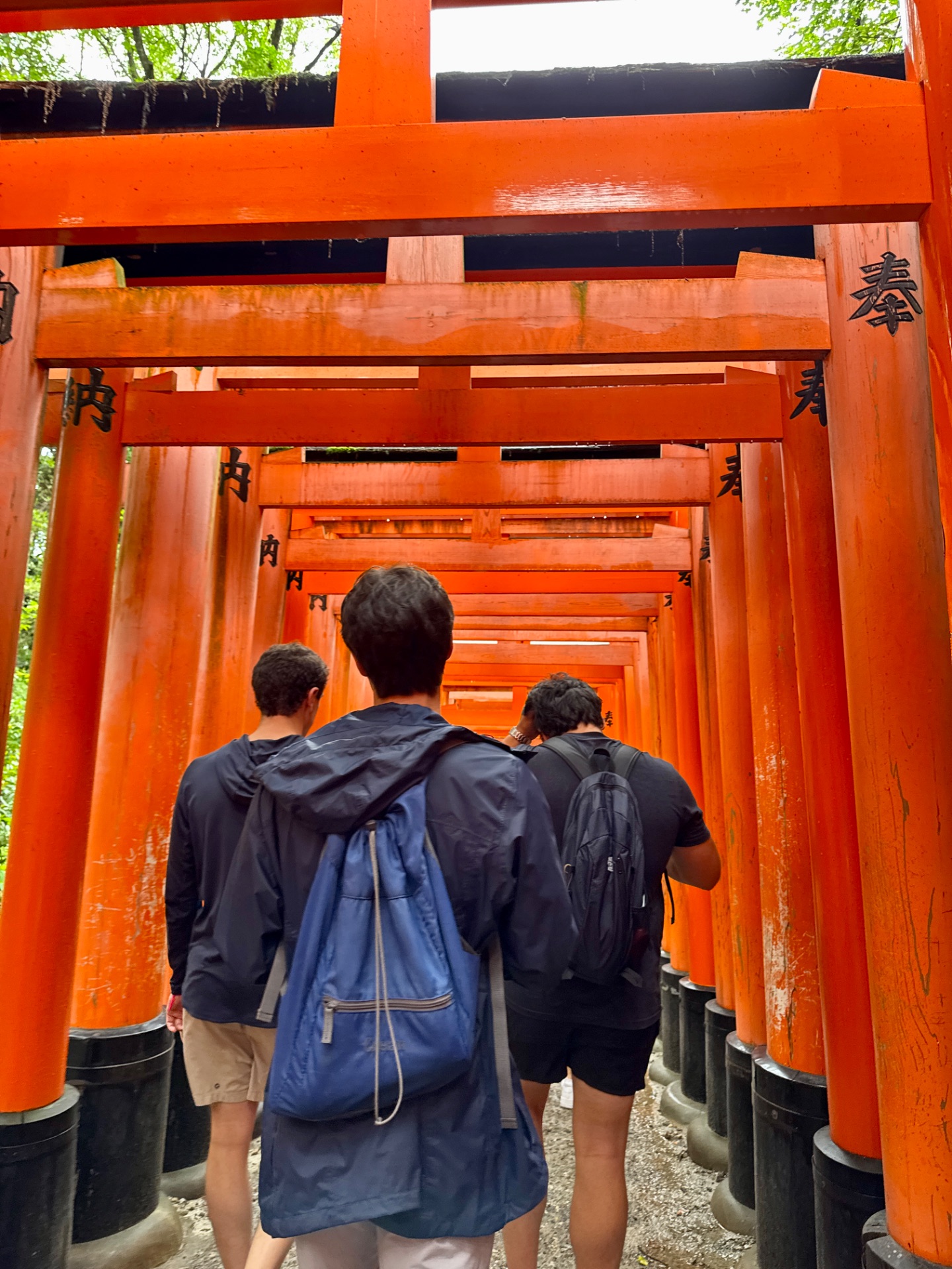 Three visitors walk through a tunnel of bright red-orange torii gates at a Japanese shrine, with black kanji characters visible on the posts.