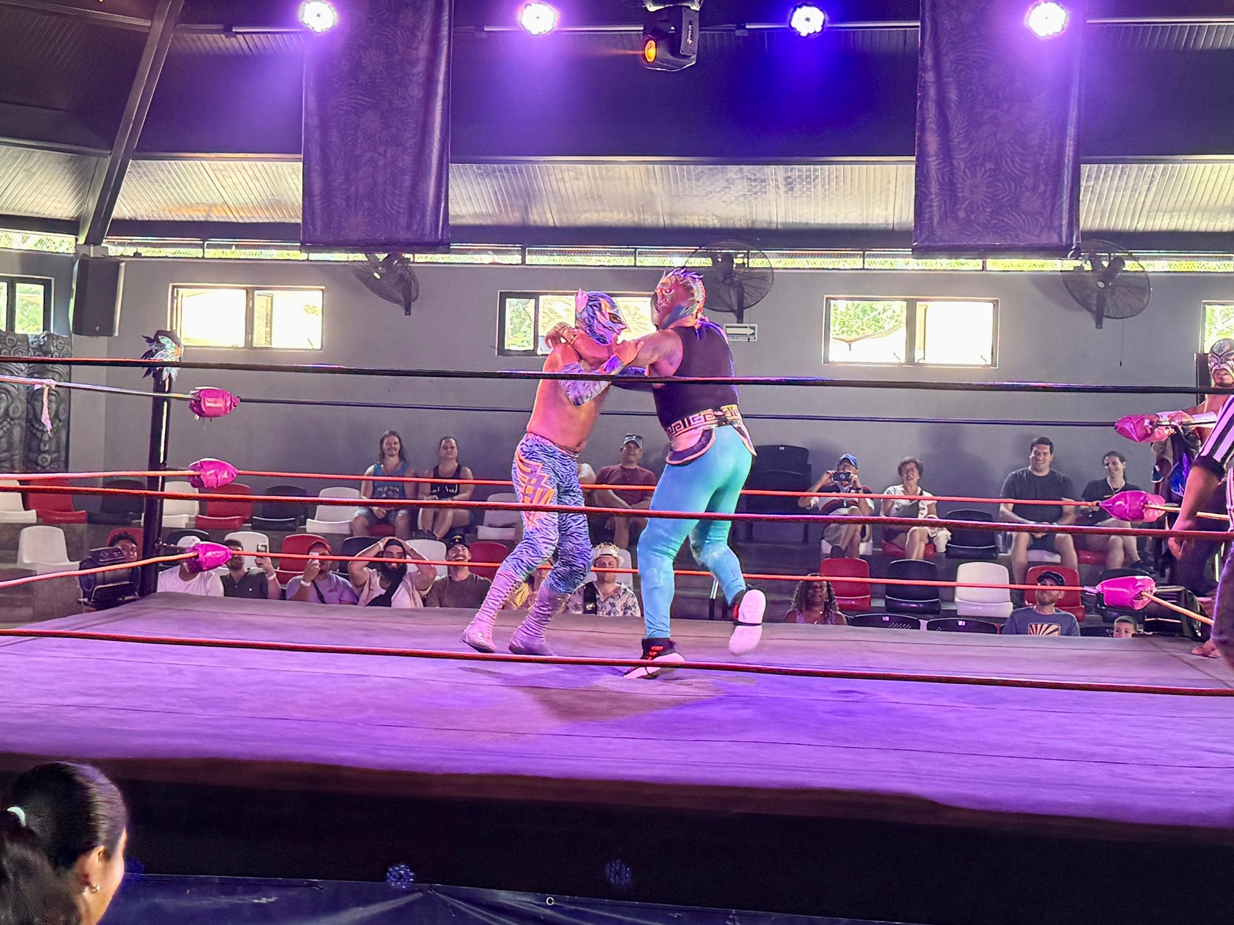 Professional female wrestlers performing in indoor ring arena