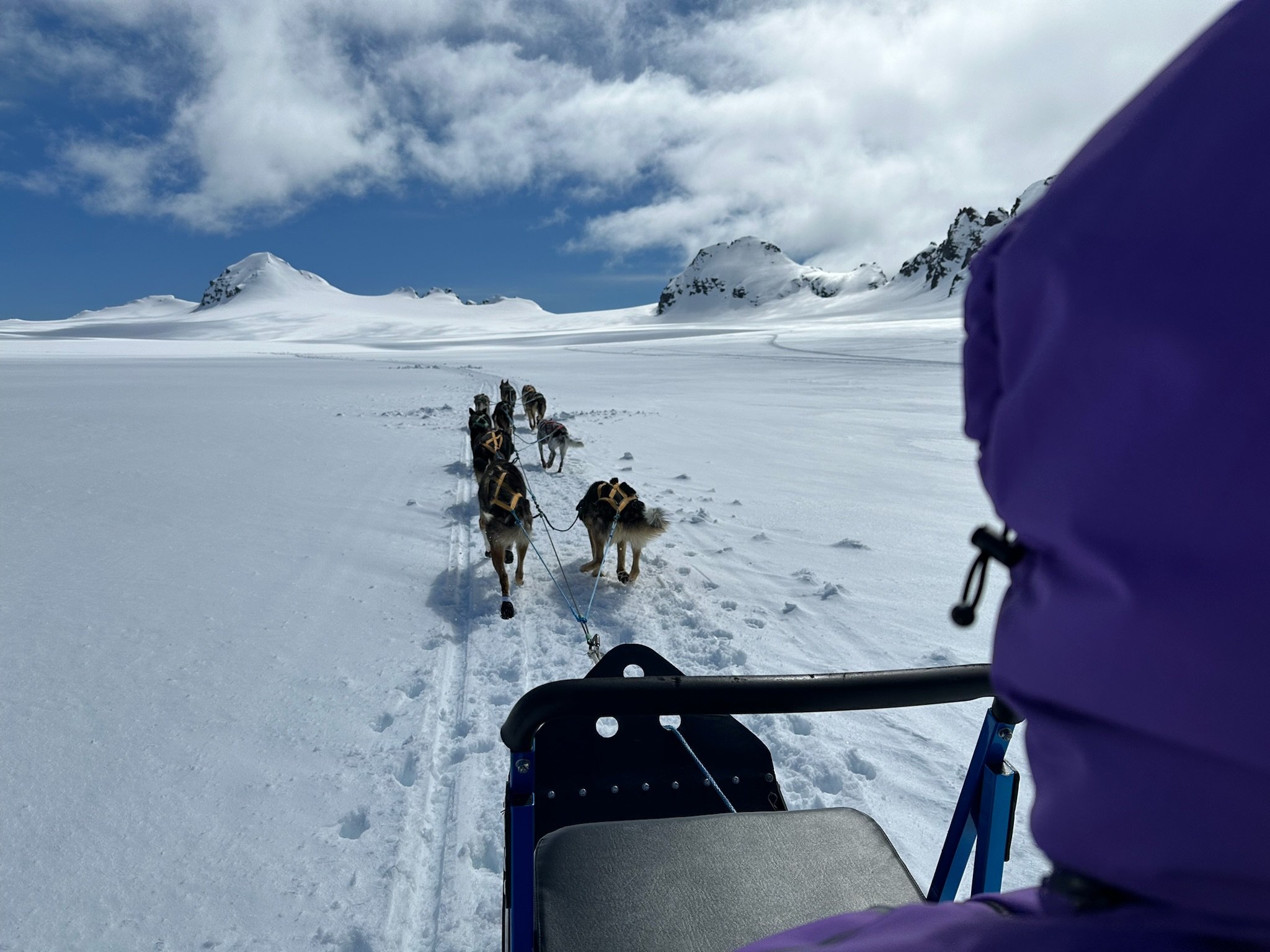 Dog sled team pulling sled across snow-covered Arctic landscape