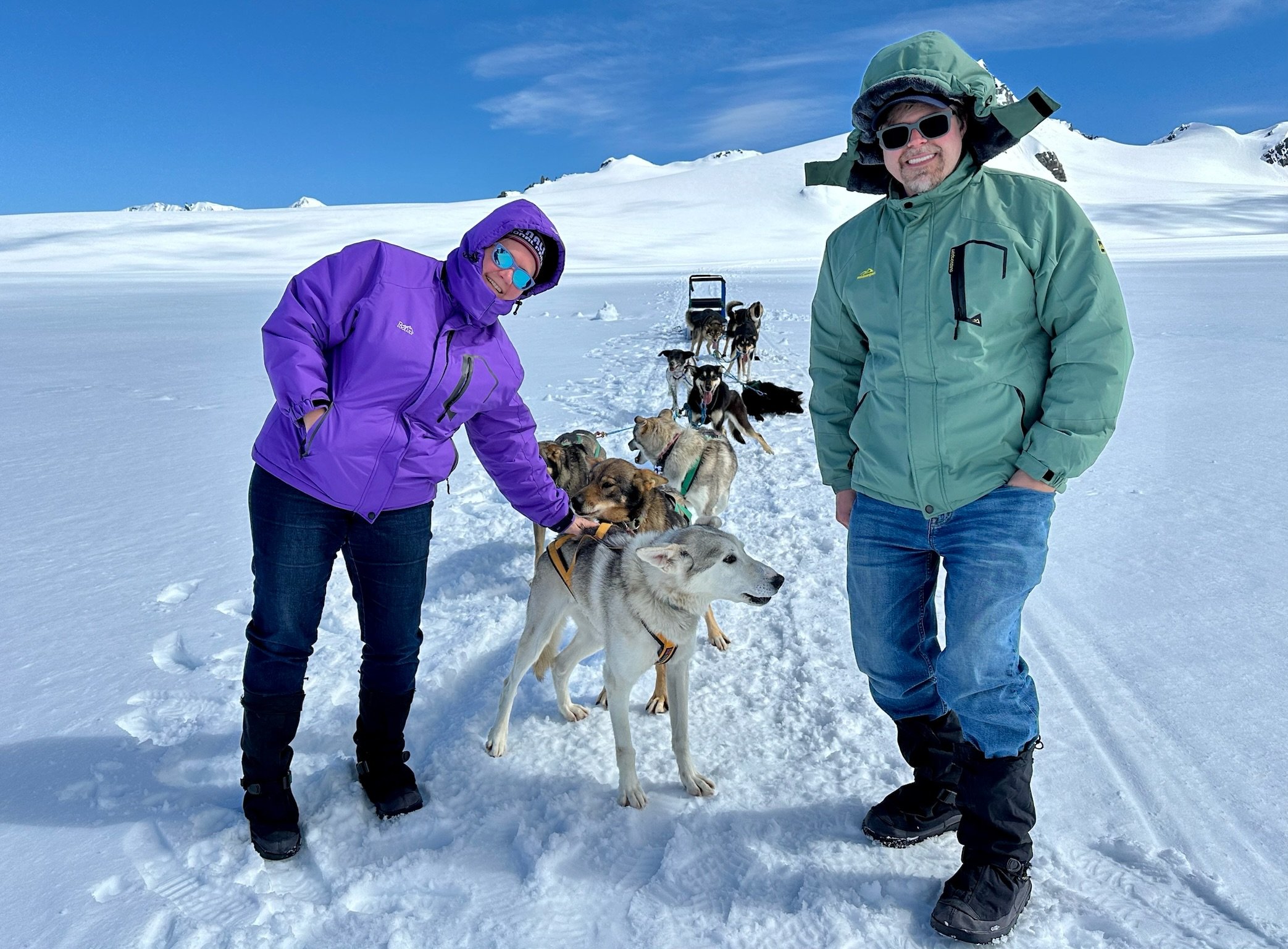 Dog sledding team on snowy Arctic glacier during cruise excursion