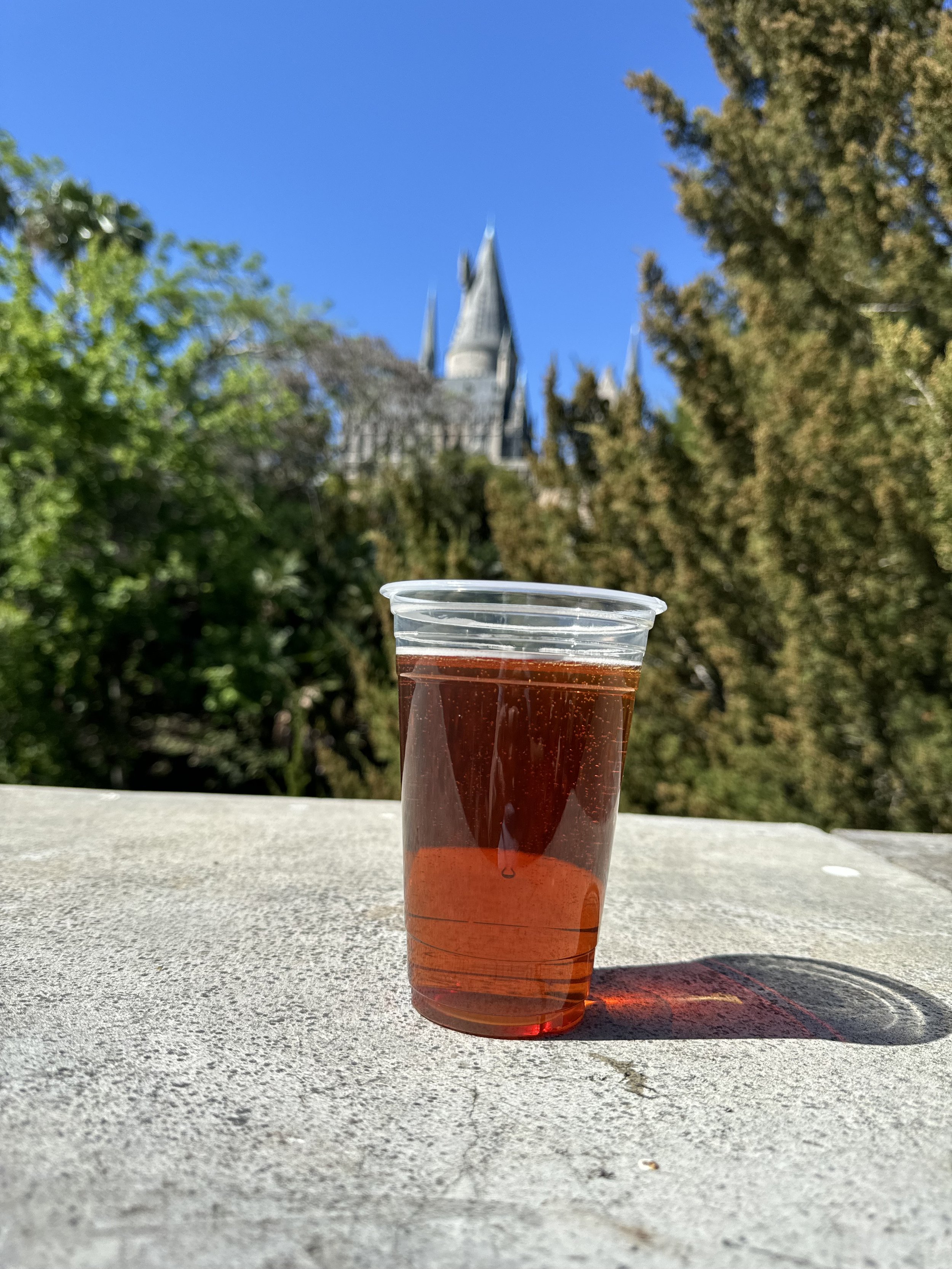 Butterbeer drink at Hogwarts Castle Universal Orlando