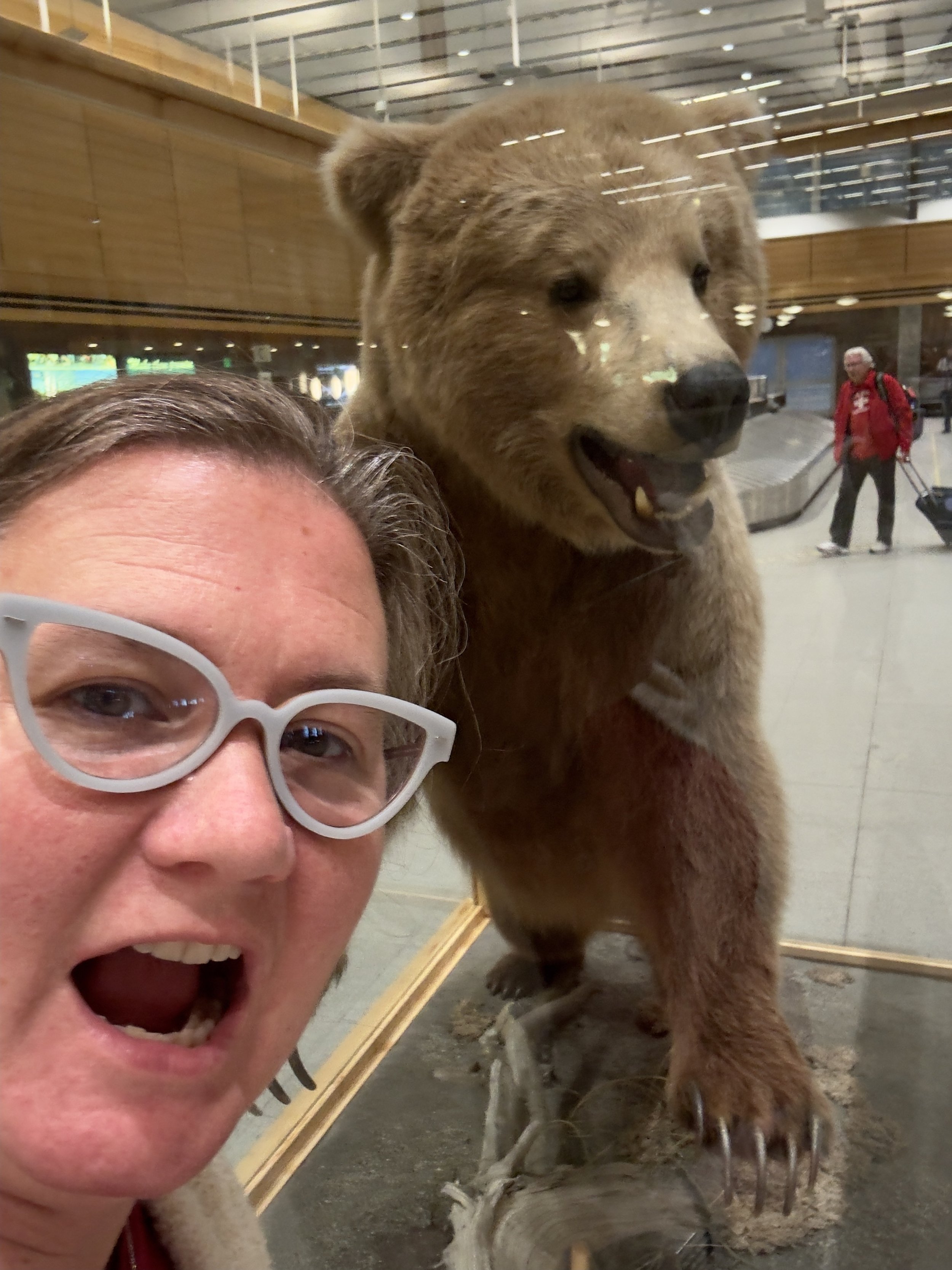 Person takes selfie with taxidermied bear display