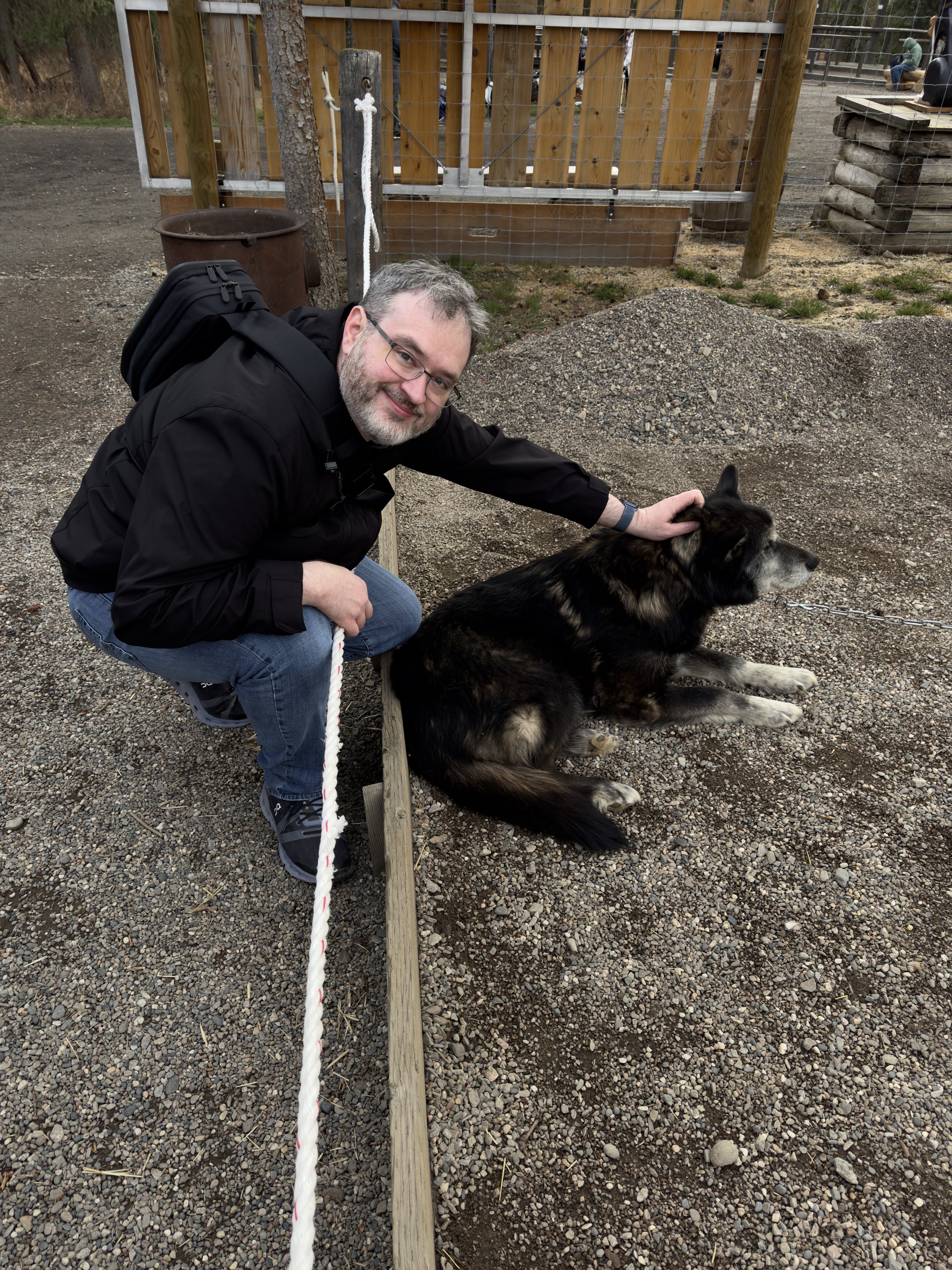 Man petting large black and tan German Shepherd dog outdoors