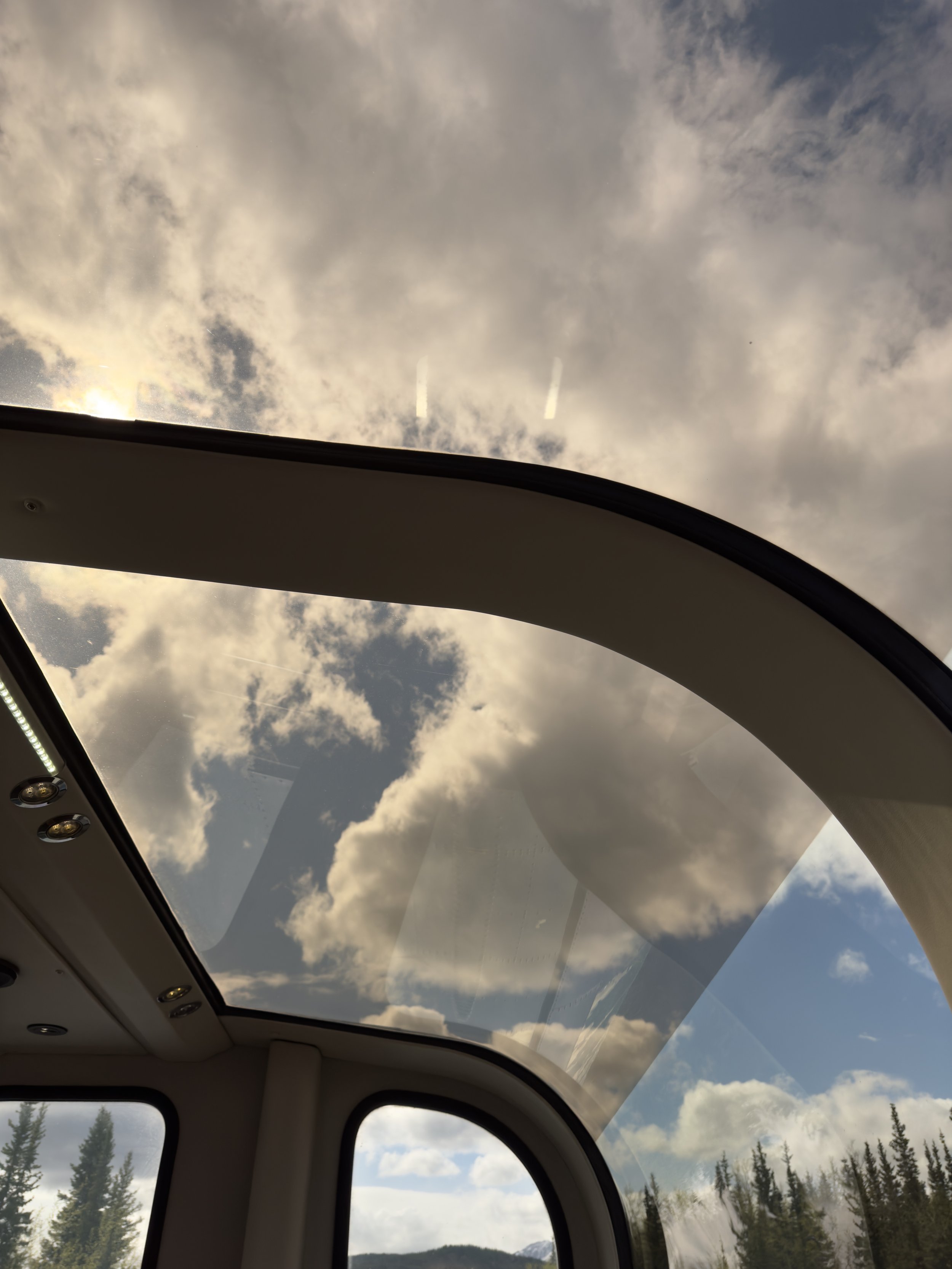 View from cruise ship window showing cloudy sky and forest